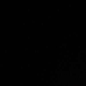 Meet your Posher, Irene